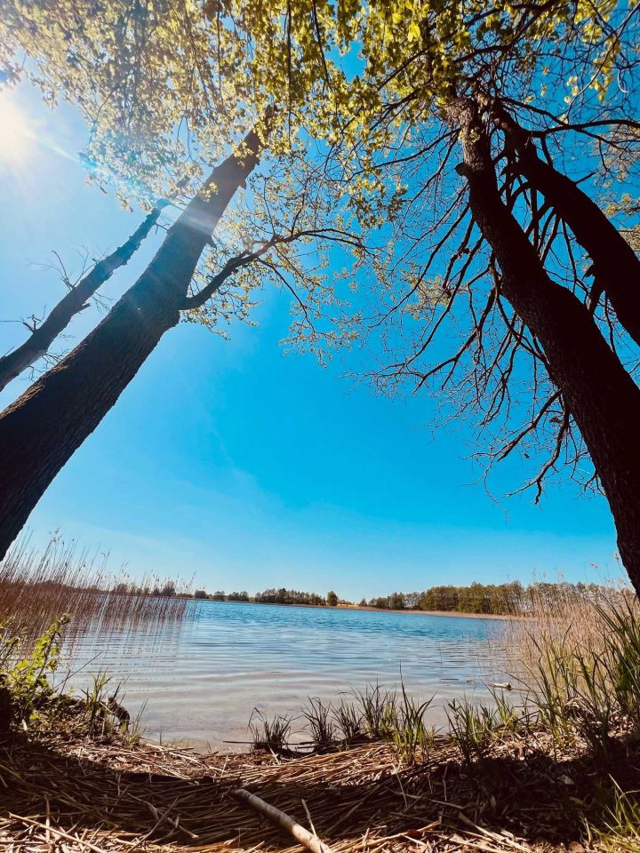 Działka budowlana Bronowo. Zdjęcie 6