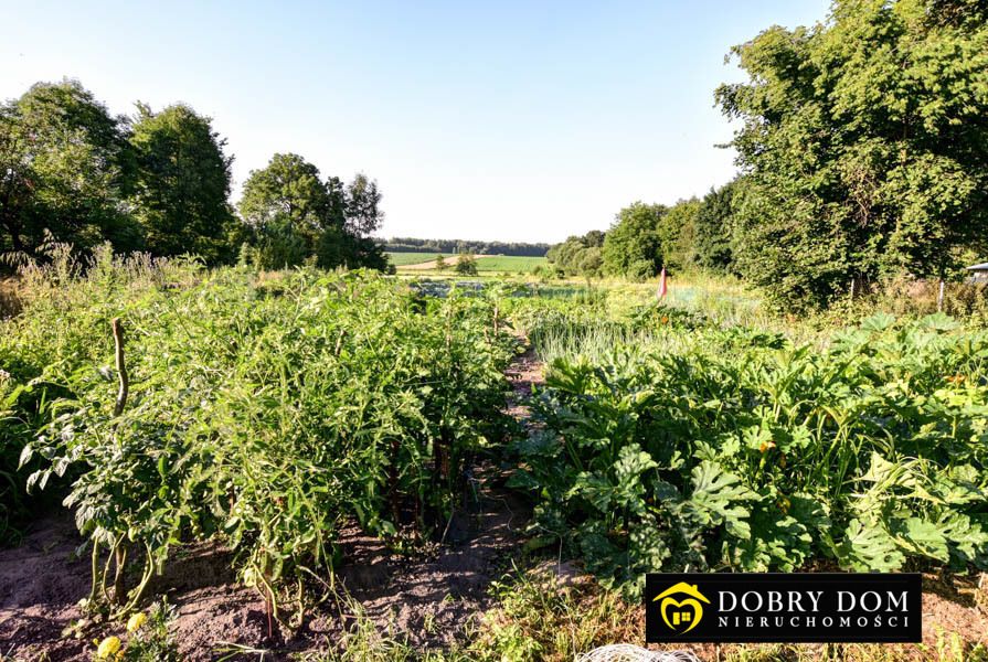 dom wolnostojący, 3 pokoje Wyczółki. Zdjęcie 6