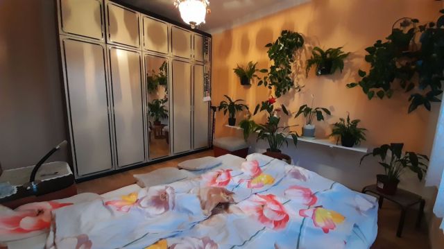 Mieszkanie 3-pokojowe Niemstów. Zdjęcie 12