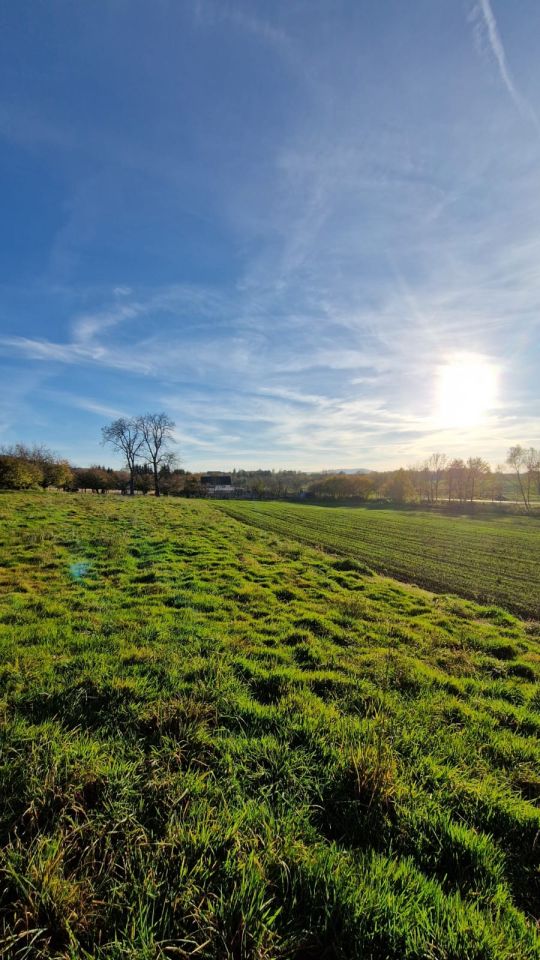 Działka siedliskowa Sady. Zdjęcie 4