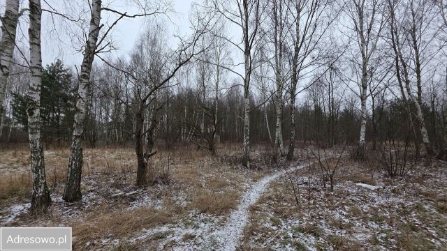 Działka budowlana Łódź Widzew, ul. Feliksińska. Zdjęcie 1