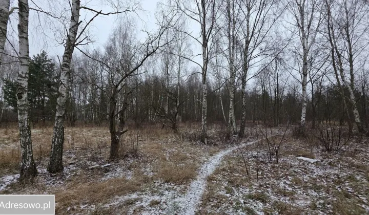 Działka budowlana Łódź Widzew, ul. Feliksińska