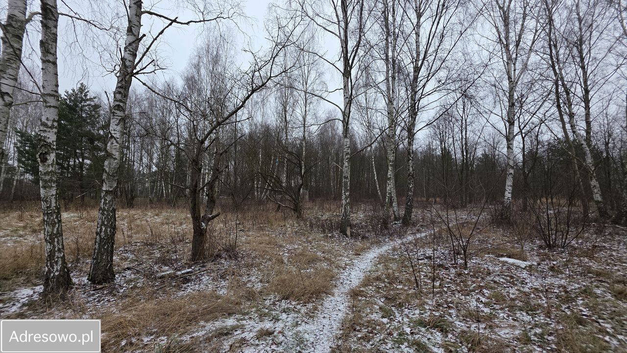 Działka budowlana Łódź Widzew, ul. Feliksińska