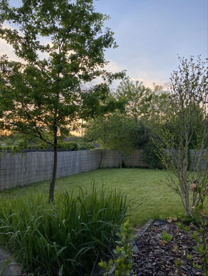 Działka rod Tarnów, ul. Józefa Dwernickiego. Zdjęcie 4