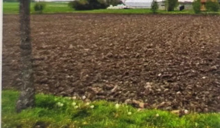 Działka budowlana Szydłów-Kolonia