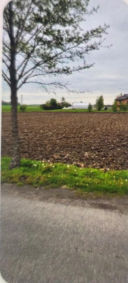 Działka budowlana Szydłów-Kolonia. Zdjęcie 1