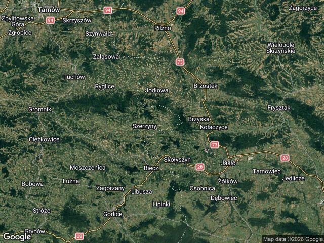 Działka leśna Czermna. Zdjęcie 1