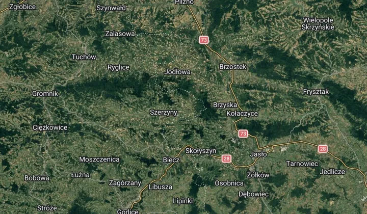 Działka leśna Czermna