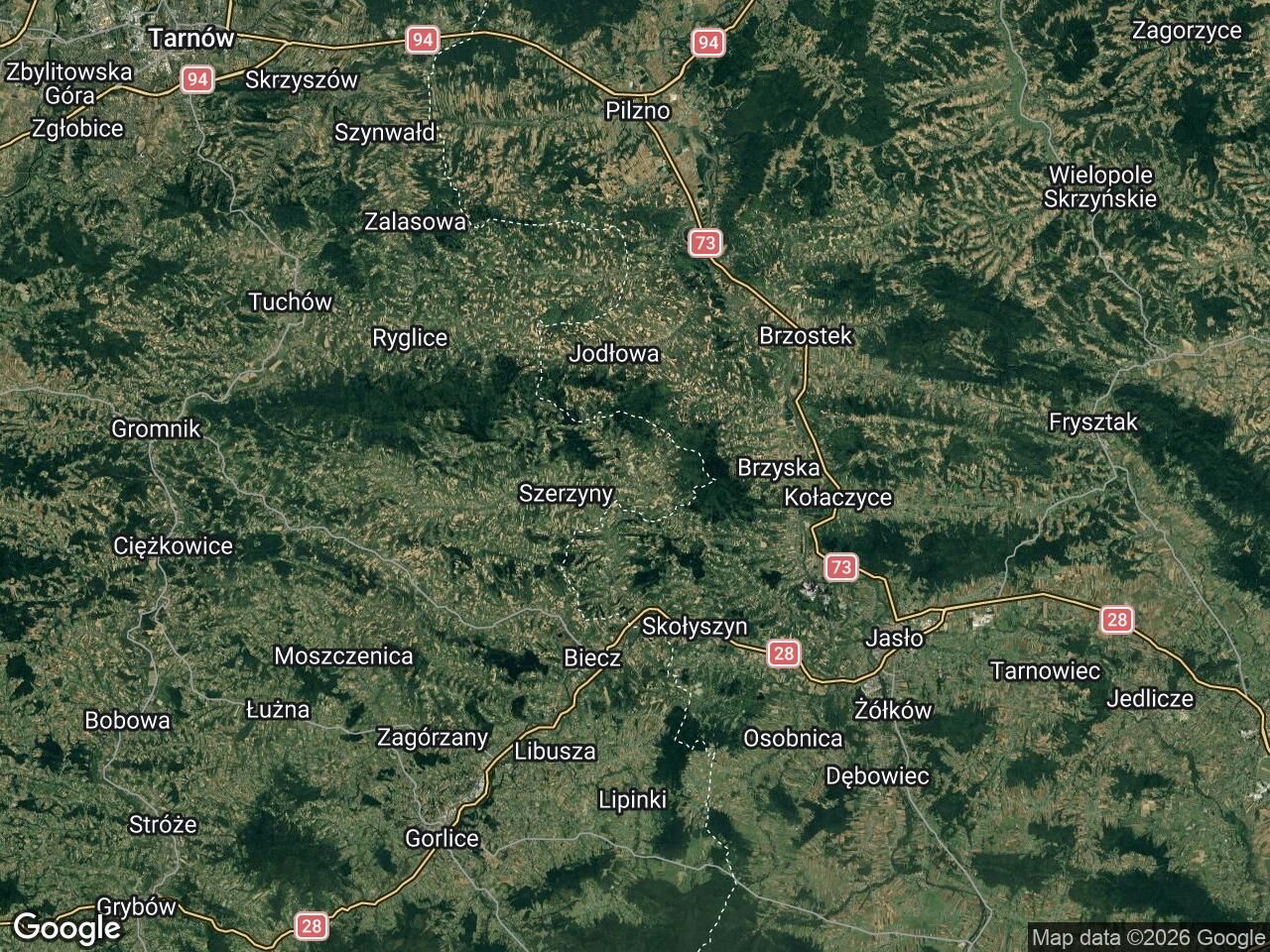 Działka leśna Czermna. Zdjęcie 1