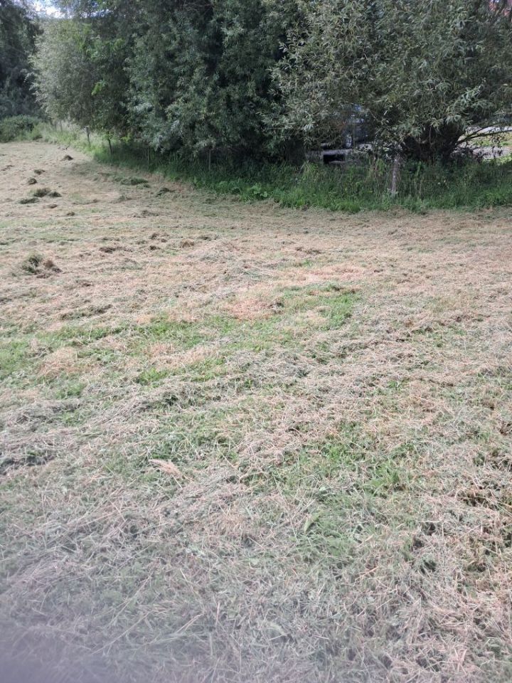 Działka rolno-budowlana Nowa Wieś. Zdjęcie 2