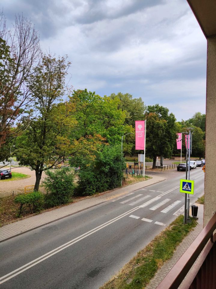 Mieszkanie 2-pokojowe Katowice Dąb, ul. Złota. Zdjęcie 4
