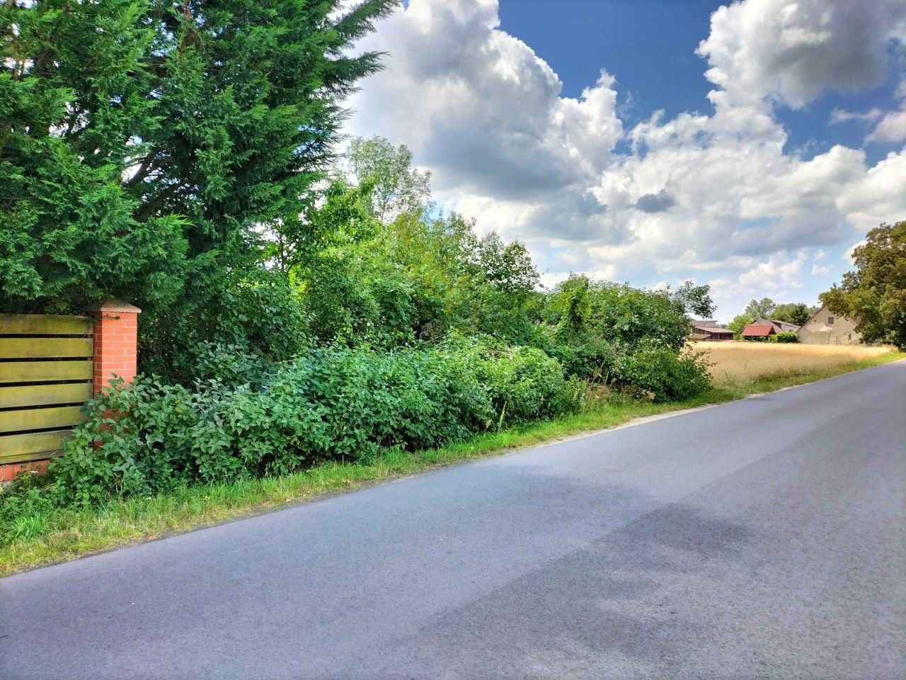 Działka budowlana Potasznia. Zdjęcie 8