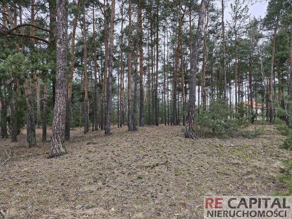 Działka inwestycyjna Adelin. Zdjęcie 4