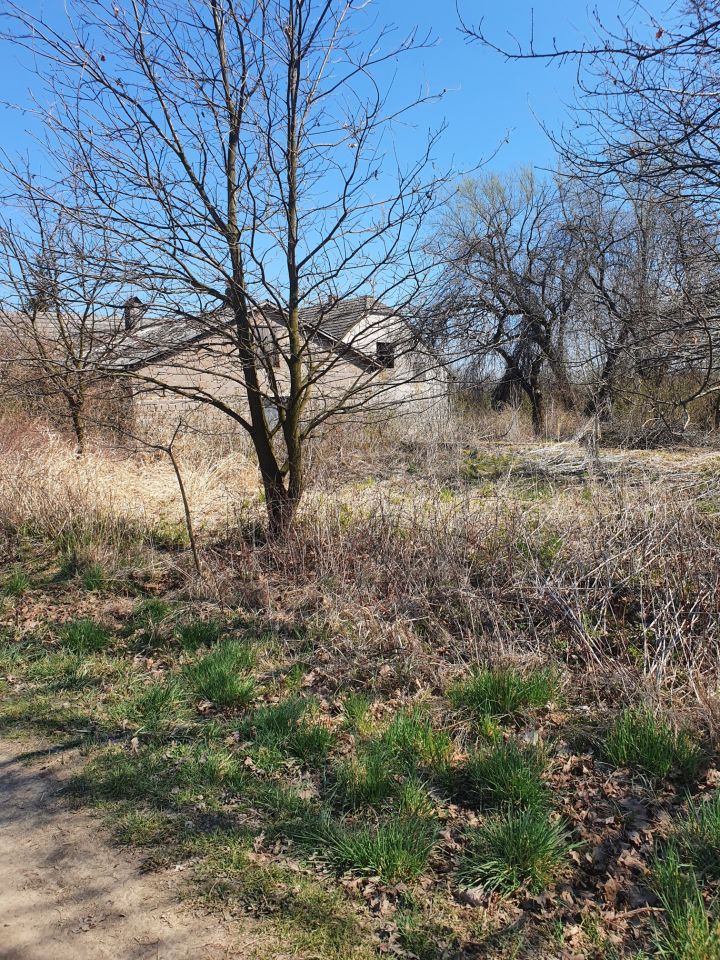 dom wolnostojący, 3 pokoje Okleśna. Zdjęcie 12