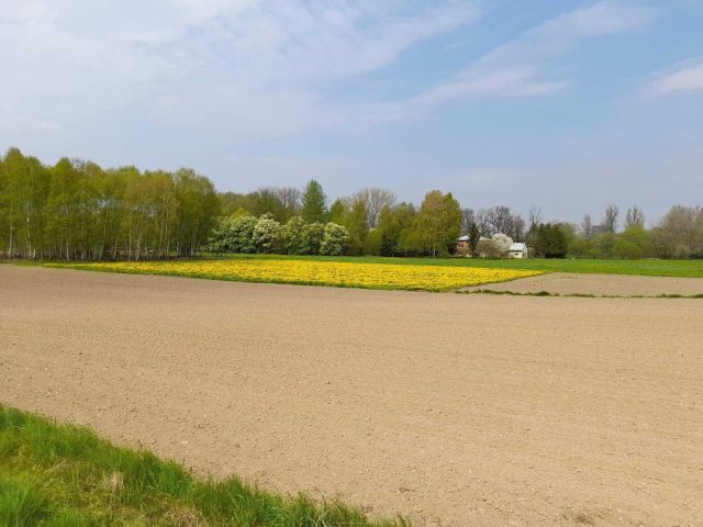 Działka budowlana Haczów. Zdjęcie 1