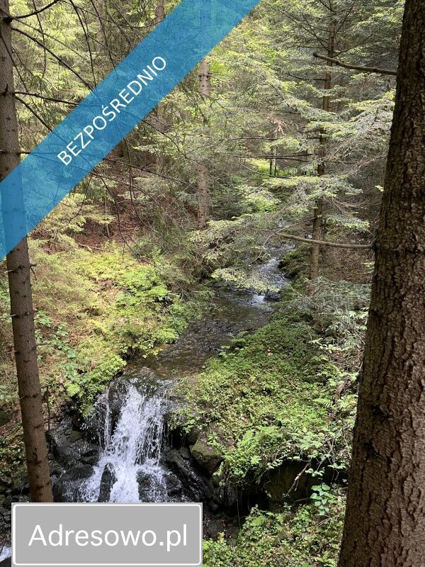 Działka budowlana Bogdanówka. Zdjęcie 5