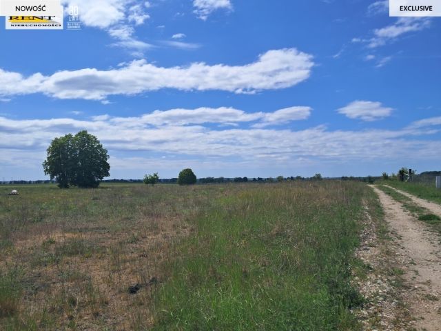Działka budowlana Witkowo Pierwsze. Zdjęcie 1