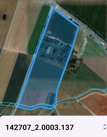 Działka rolna Stare Chabowo. Zdjęcie 3