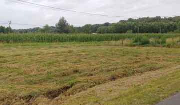 Działka rolna Burgrabice