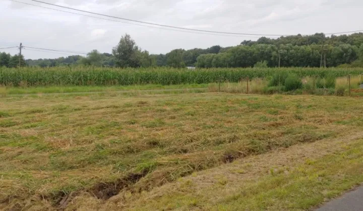 Działka rolna Burgrabice