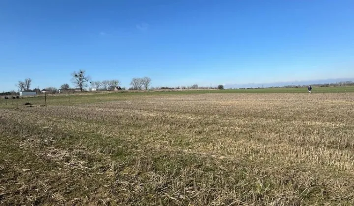 Działka budowlana Pyrzyce, ul. Rycerza Przybora