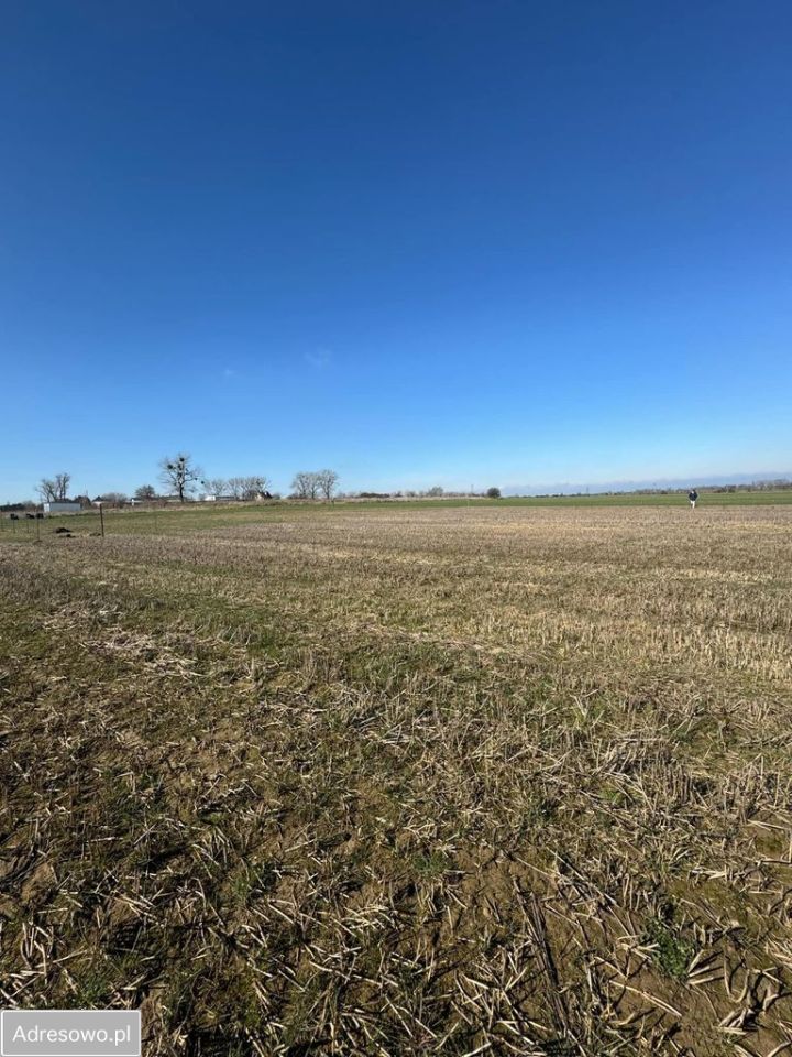 Działka budowlana Pyrzyce, ul. Rycerza Przybora. Zdjęcie 1