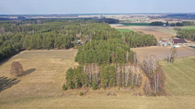 dom wolnostojący, 4 pokoje Szafranki. Zdjęcie 6