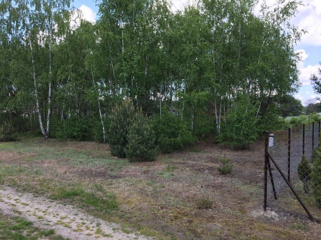 Działka budowlana Pierzchnia Góra. Zdjęcie 1