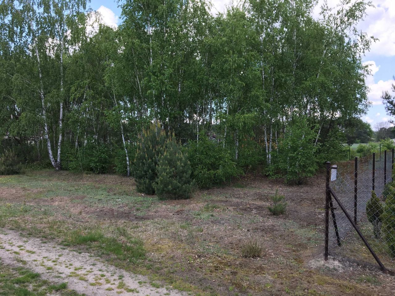 Działka budowlana Pierzchnia Góra. Zdjęcie 1