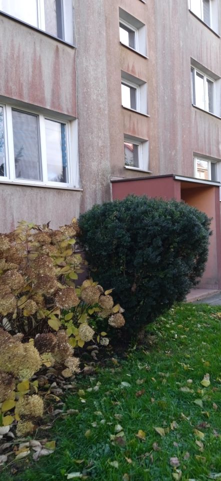 Mieszkanie 2-pokojowe Zbroszki
