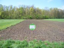 Działka rekreacyjna Starczewice. Zdjęcie 2