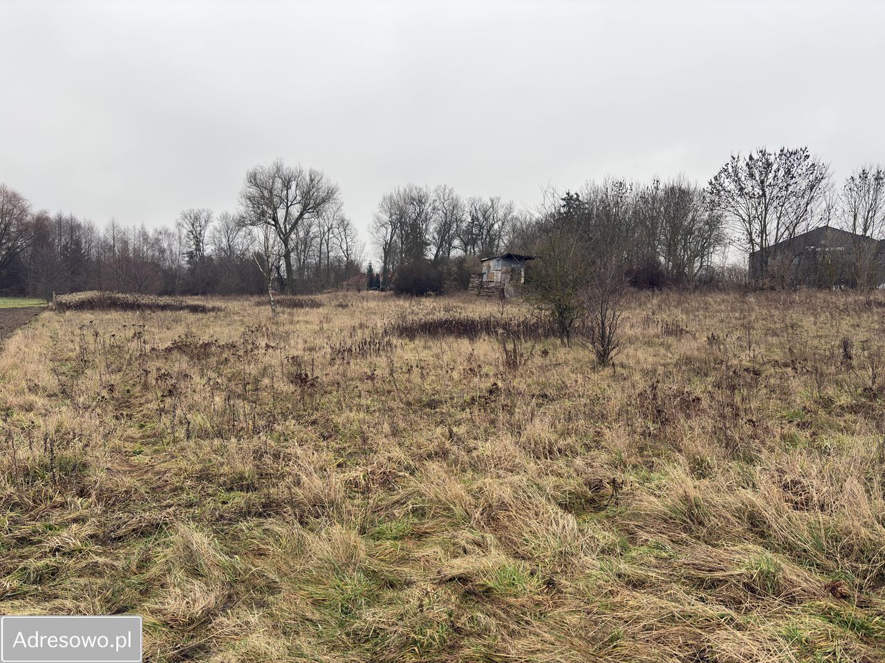 Działka budowlana Siennica, ul. gen. Władysława Sikorskiego. Zdjęcie 3