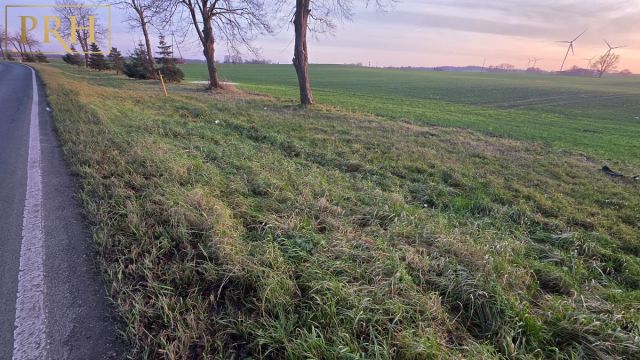 Działka rolno-budowlana Będzino. Zdjęcie 3
