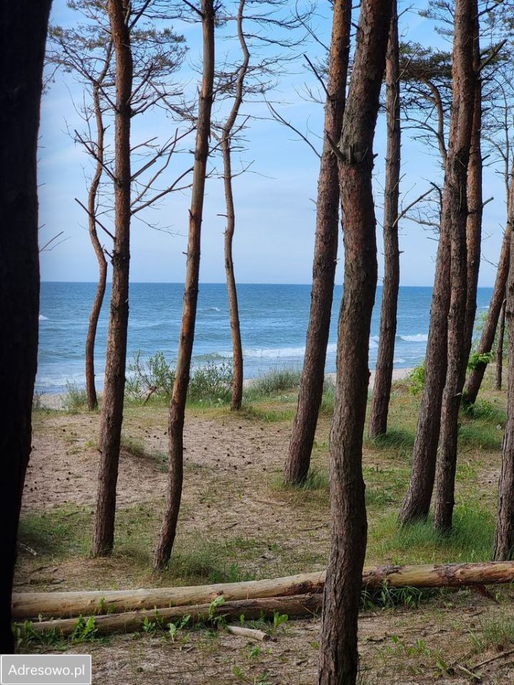 dom wolnostojący, 10 pokoi Mielenko. Zdjęcie 16