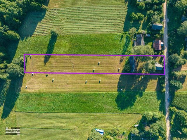 Działka siedliskowa Cimanie. Zdjęcie 22