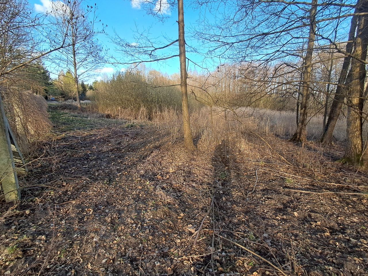 Działka rolno-budowlana Płock, Zofiówka. Zdjęcie 5