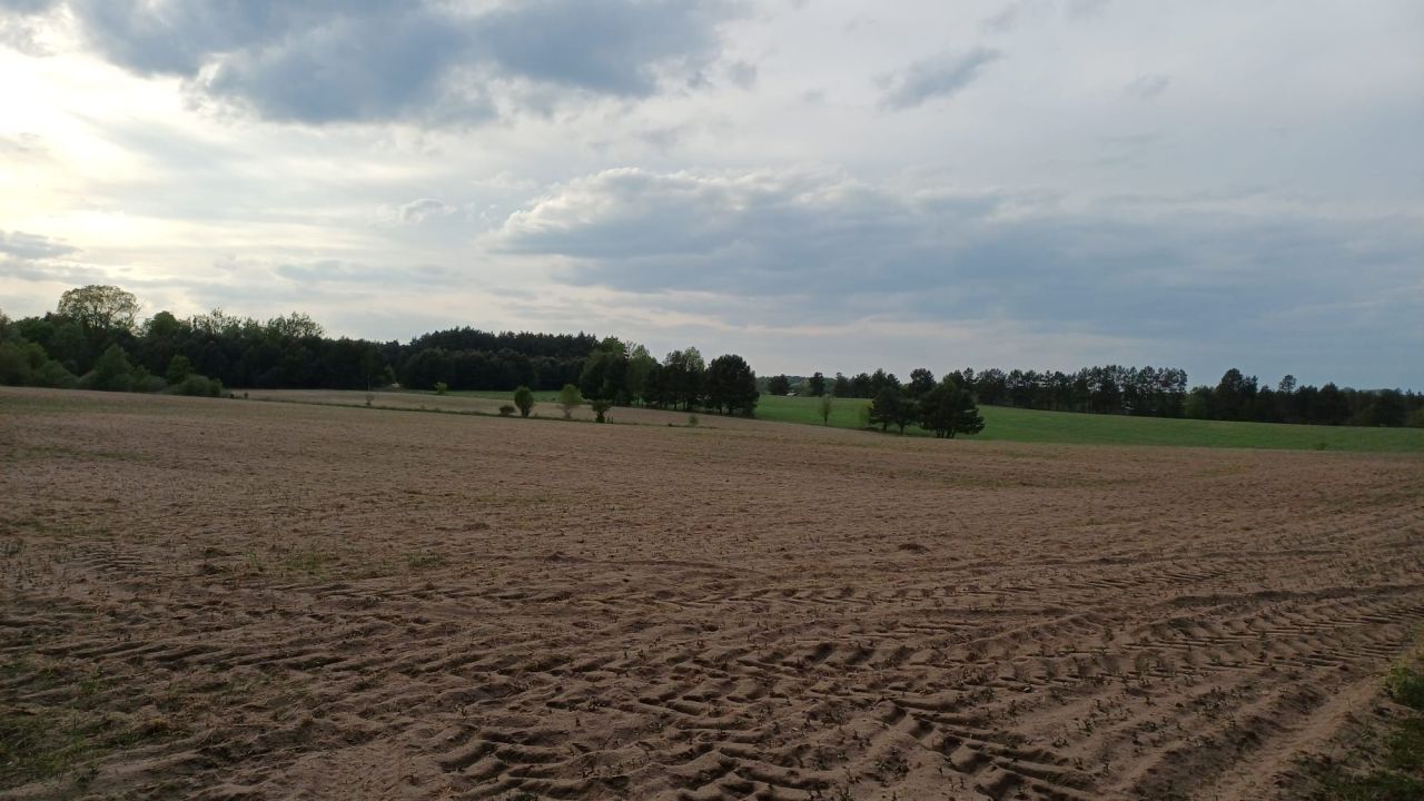Działka rolna Łomnica. Zdjęcie 4