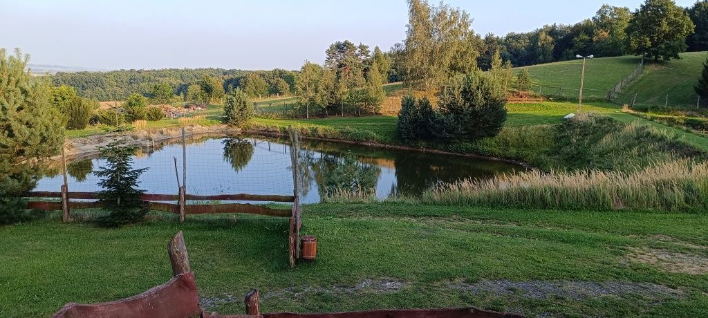 Lokal Lutomia Górna. Zdjęcie 6