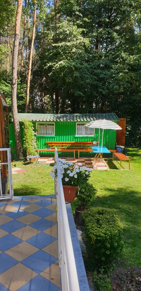 Działka rekreacyjna Nowe Chechło, Rekreacyjna. Zdjęcie 5