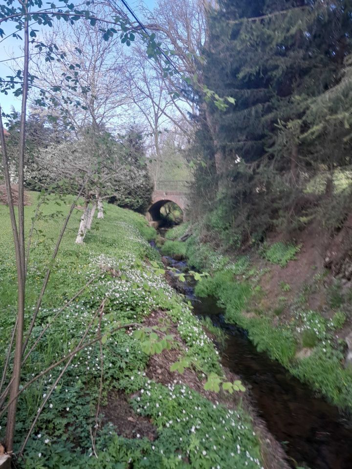 dom wolnostojący, 5 pokoi Rząsiny. Zdjęcie 7