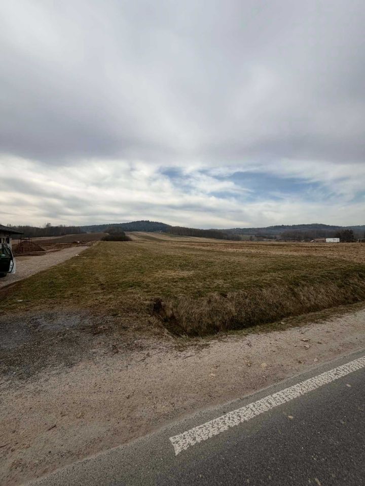 Działka rolno-budowlana Lutcza. Zdjęcie 3