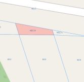 Działka leśna Wólka Kokosia. Zdjęcie 3