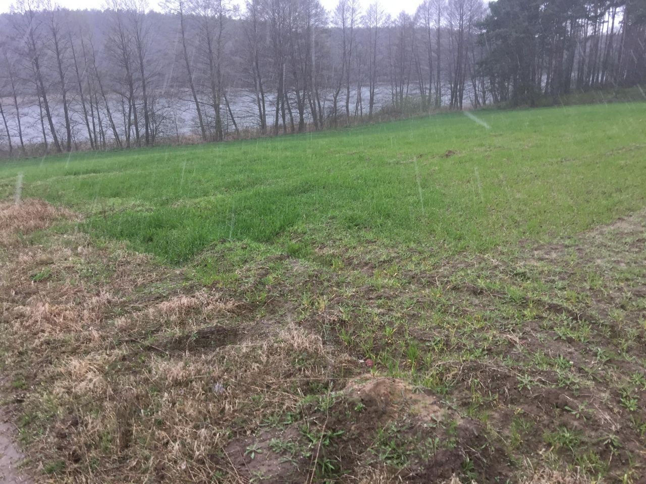 Działka budowlana Stary Sumin. Zdjęcie 2