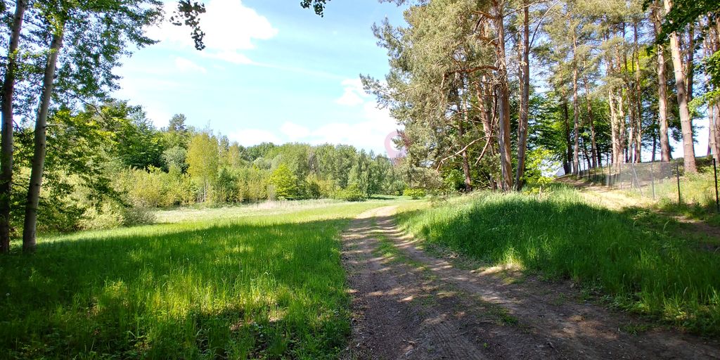 Działka rolno-budowlana Szczecin Płonia