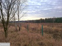 Działka budowlana Pniewy, ul. Wroniecka. Zdjęcie 4