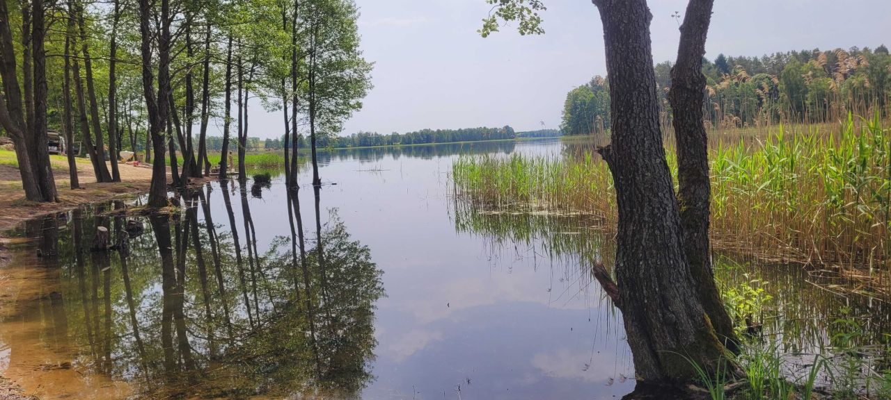 Działka rolna Dobra Wola. Zdjęcie 4