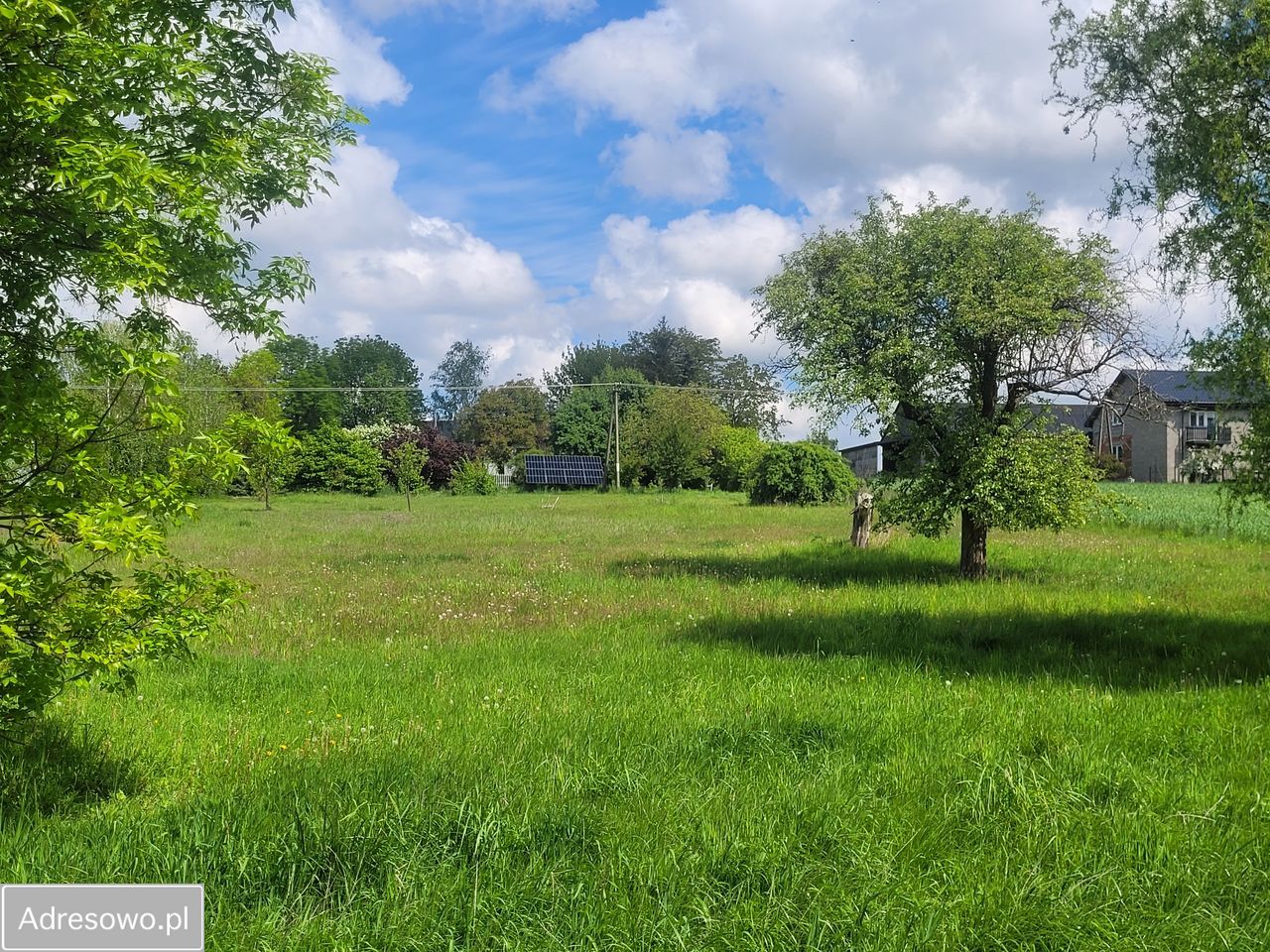 Działka siedliskowa Jasień