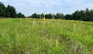 Działka rolna Szynkarzyzna
