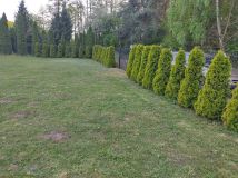 Działka rolna Drwalew. Zdjęcie 1