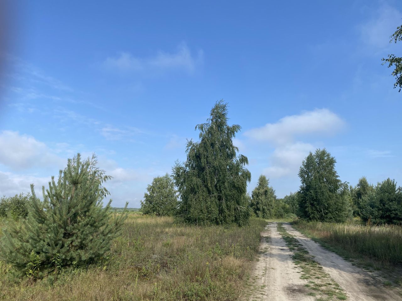 Działka inwestycyjna Nowy Modlin. Zdjęcie 7